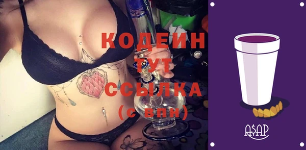 ешки Корсаков
