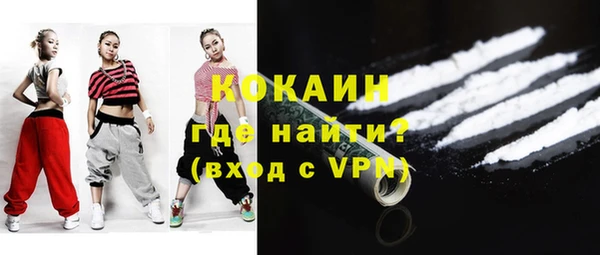 ешки Корсаков
