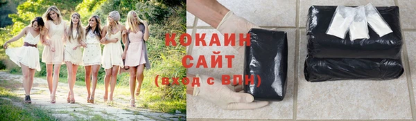 ешки Корсаков